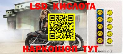ECSTASY Кингисепп