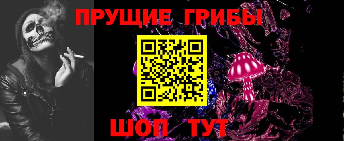 Красный Сулин  Галлюциногенные грибы Psilocybine cubensis  Вход с VPN 
